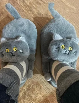 Funny Cat Cute Cartoon Shorthair Plush Slippers For Women Men Home Indoor Fluffy Soft Plush Home Shoes Bedroom Fur Slides Mules - Aliexpress - FashionsVida