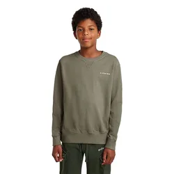 Sweat-shirt Premium Core D29249-01 Iceberg Green 16 Années Garçon