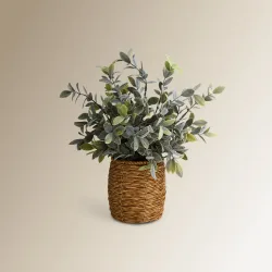 Planta artificial Boj en maceta de poliratán