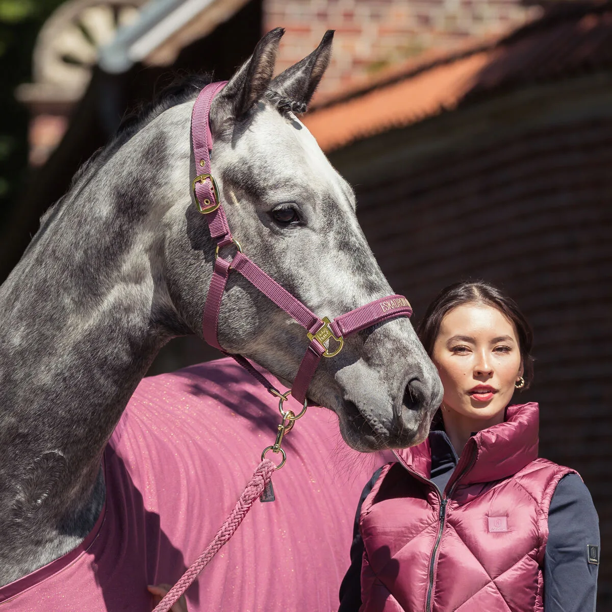 Halfter GIRTH DOUBLE PIN (Heritage2025) wildberry WE - Eskadron - FashionsVida