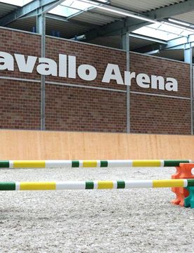 Manski Cavaletti Block lila