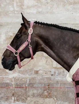 Halfter VELVET altrosé Cob - Kentucky Horsewear - FashionsVida