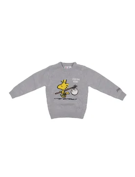 Bambino maglia dou0001 00077i 15 douglas woodstock vado grigio - MC2 SAINT BARTH - FashionsVida