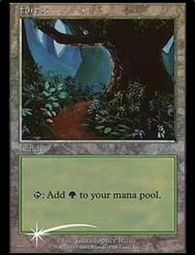 Forest (Arena foil - Beta) Promotional Cards - Magic: The Gathering - FashionsVida