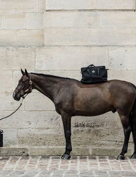 Reisetasche CHESTNUT L schwarz