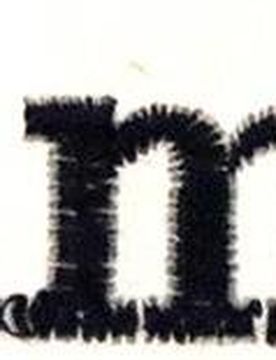 Stickservice Schabracke bis zu 15 Buchstaben Times weiß gerade rechts