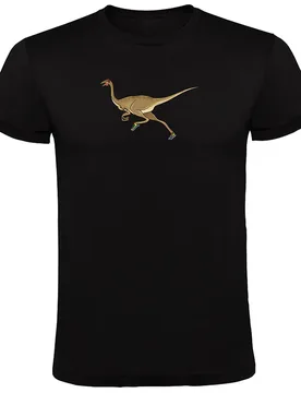 Maglietta A Maniche Corte Dino Run Black XL - Kruskis - FashionsVida