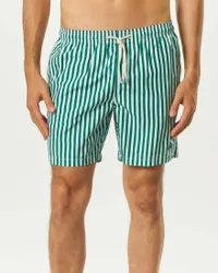 Boxer mare a righe verdi e azzurre