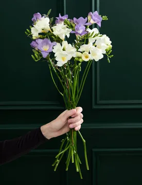 Scented Freesia Posy - M&S Flower Market - FashionsVida