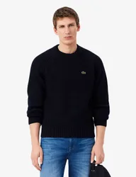 Pure Wool Ribbed Crew Neck Jumper Navy male