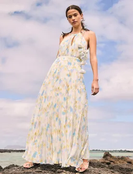 Floral Tie Neck Pleated Maxi Waisted Dress Multi female - RO&ZO - FashionsVida