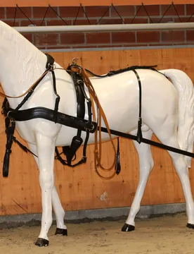 Manski Zweispänner Geschirr DIPLOMAT black/black COB - Reitsport Manski - FashionsVida