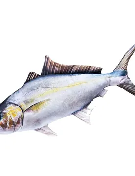 Gaby Il Cuscino Gigante Amberjack