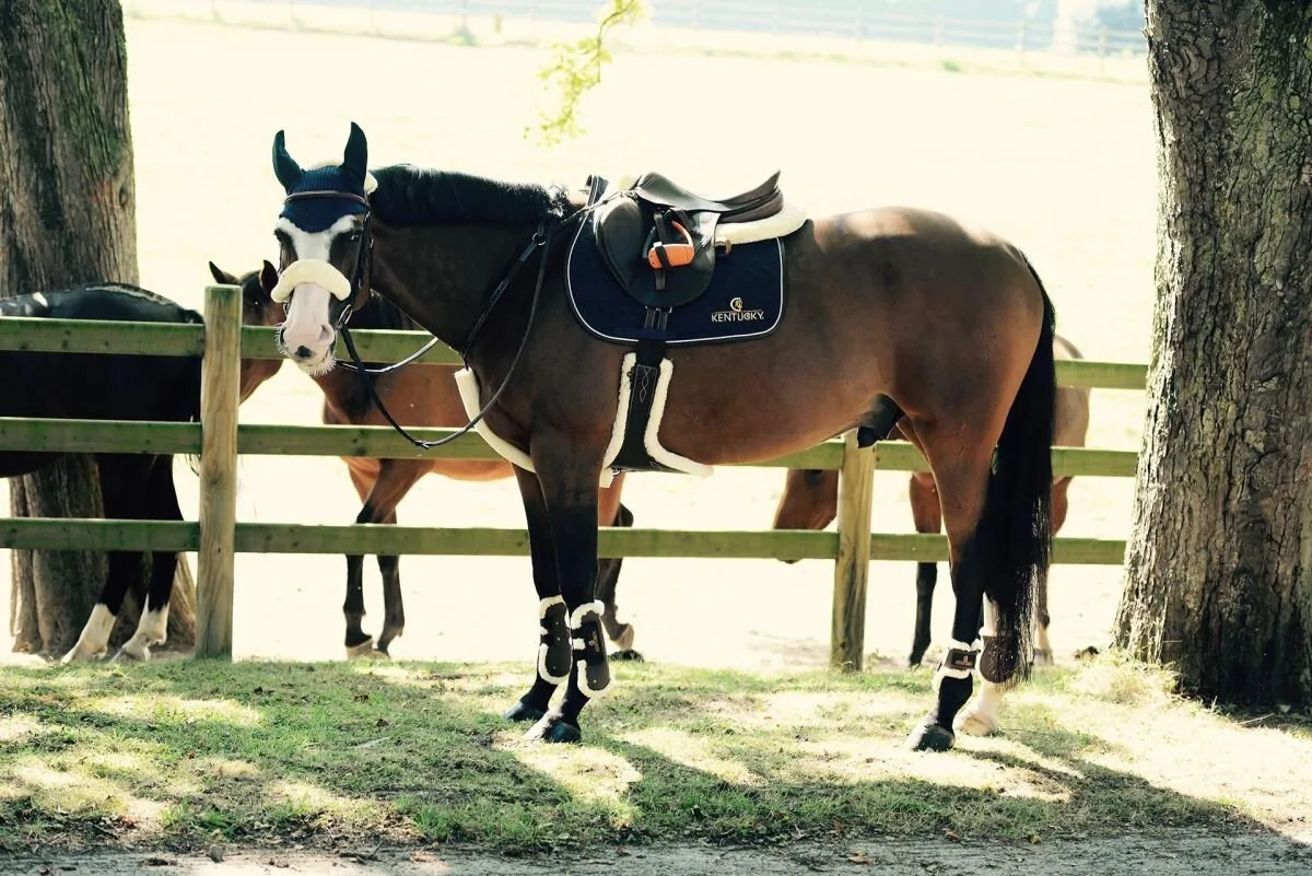 Lammfell-Stollengurt schwarz 140 cm - Kentucky Horsewear - FashionsVida