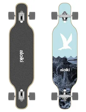 Longboard Reef Fs Drop 40´´ 9.5 Pouces unisex