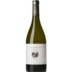 Vino blanco Valdeorras 2022