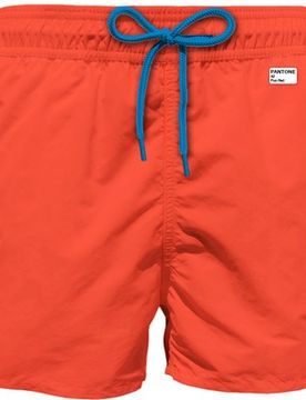 Boxer Mare LIG0004 01621H