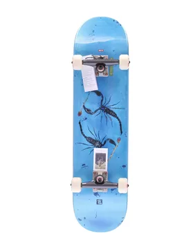Skateboard Assemblato Uomo G2 Rholtsu Blue/white - Globe - FashionsVida