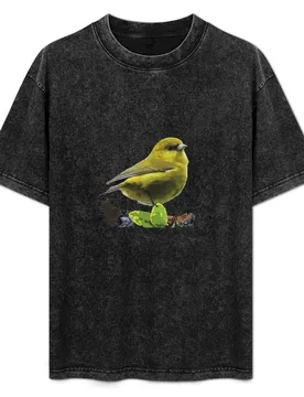 Akeke?e, Kaua?i Honeycreeper T-Shirt Basic Daily Outfit Short Sleeve Tee - Aliexpress - FashionsVida