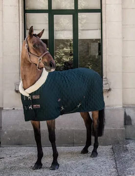 Turnierdecke 160g dunkelgrün 130 cm - Kentucky Horsewear - FashionsVida