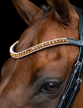 Stirnband IRH GRANDE bronze Pony - Imperial Riding - FashionsVida