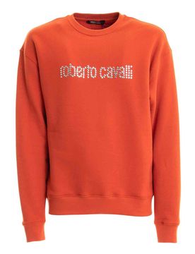 Roberto Cavalli Maglione