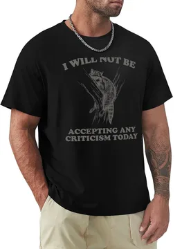 Will Not Be Accepting Any Criticism Today Retro Shirt, Funny Raccoon Meme T-Shirt Simple Solid Color Crew Neck Tee - Aliexpress - FashionsVida