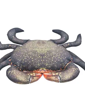 Il Cuscino Medio Granchio Del Fango