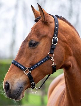 Halfter HVP NENA black X-Full