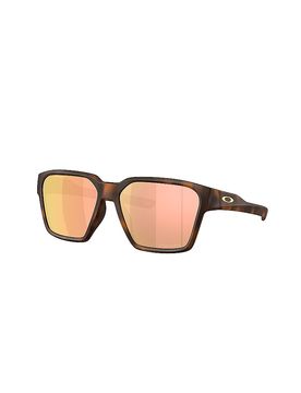 Lunettes de soleil Brizas marron