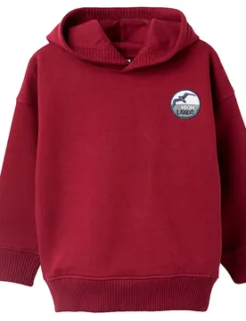 Felpa 310705901 Dark Red 6-7 Anni