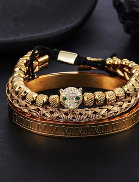 Pcs/set Hip Hop Men Pave CZ Leopard Head Roman Numeral Bracelet Stainless Steel Classic Handmade Braiding Bangles Jewelry - Aliexpress - FashionsVida