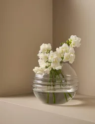 Textured Globe Glass Vase Clear