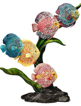 Swarovski Amazonia Unisex OS