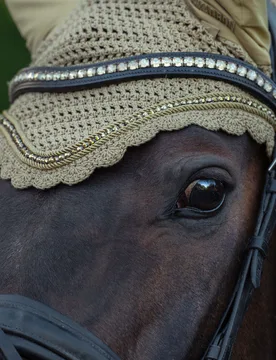 Fliegenohren CRYSTAL (Heritage2025) cardamom PONY - Eskadron - FashionsVida