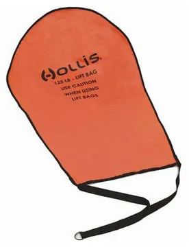 Ciambella Di Salvataggio 125lb Bag - Hollis - FashionsVida