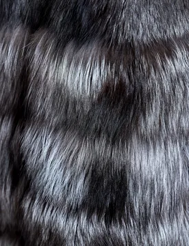 Chaleco de mujer de pelo de zorro en horizontal con cuello alto - Maximilian - FashionsVida