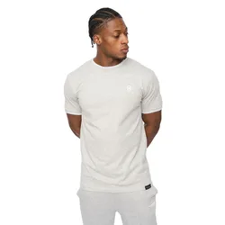 Mens Preece T-Shirt (Grey Marl) Cotton - Size Small