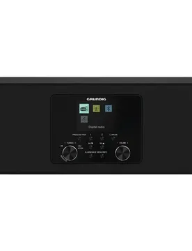 Radio Internet Dtr 4600 Black One Size unisex