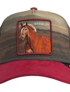 Schirmmütze Cappellino Uomo Stallion In The Element Crush Einheitsgrösse Male - Goorin Bros - FashionsVida