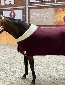 Manski Kombi-Set Eternal Flame, bordeaux-gold 155 Cob - Reitsport Manski - FashionsVida