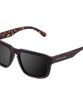 Lunettes De Soleil Polarisées Verona Matte Brown Violet Revo/CAT3 unisex
