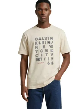 Herren T-Shirt Beige 512754