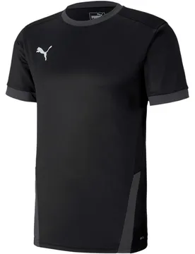 TeamGOAL 23 Herren Trikot, schwarz XL