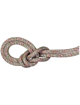 Crag We Care Classic Rope Assorted - Taille 40 m - Mammut - FashionsVida