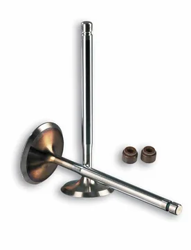 Valvole 4 Stroke Valve Malaguti Password Ck 250 4t Lc - Malossi - FashionsVida