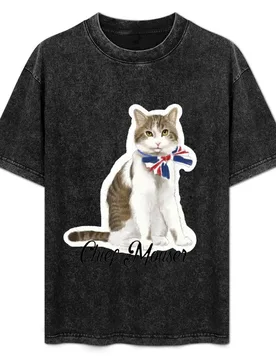Larry the Cat Chief Mouser T-Shirt Urban Casual Loose Fit Tee - Aliexpress - FashionsVida