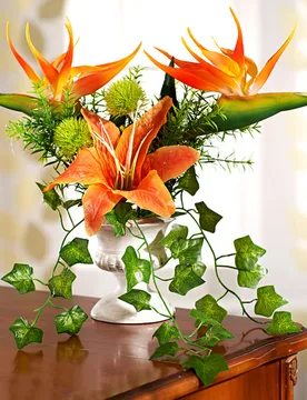 Pagen Strelitzia im Pokaltopf - 3Pagen - FashionsVida