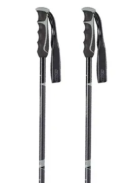 Bâtons Booster Speed Aluminum Black / Grey 120 cm Homme