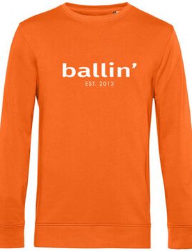 Kapuzensweaters Basic Sweater Eu Xxl;Eu S;Eu M;Eu L;Eu Xl;Eu Xs;Eu 3xl